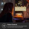 imageKasa Matter Smart Light Switch Voice Control wSiri Alexa ampamp Google Assistant  UL Certified  Timer ampamp Schedule  Easy Guided Install  Neutral Wire Required  Single Pole  24GHz WiFi  KS205White  Matter Compatible