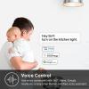 imageKasa Matter Smart Light Switch Voice Control wSiri Alexa ampamp Google Assistant  UL Certified  Timer ampamp Schedule  Easy Guided Install  Neutral Wire Required  Single Pole  24GHz WiFi  KS205White  Matter Compatible