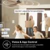 imageKasa Smart Ceiling Fan Control ampamp Dimmer Switch  Adjustable 4Speed Fan ampamp Brightness Control  Works wApple HomeKit Alexa ampamp Google Home  24G WiFi Only Single Pole Neutral Wire Required  KS240