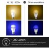 imageKasa Smart Light Bulbs 1000 Lumens High Brightness 16M Color Changing Dimmable Smart WiFi Light Bulb Compatible with Alexa and Google Home A19 24GHz WiFi only No Hub Required KL1351000 LM  4Pack