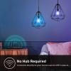 imageNew Kasa Smart Bulb Full Color Changing Dimmable Smart WiFi Light Bulb Compatible with Alexa and Google Home A19 9W 800 Lumens24Ghz only No Hub Required 1Pack KL125 Multicolor800 Lumens  1Pack